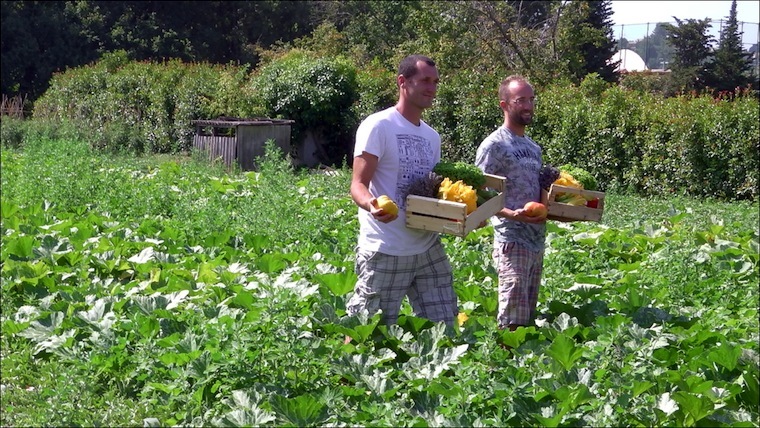 ferme-bio-vl-lg1