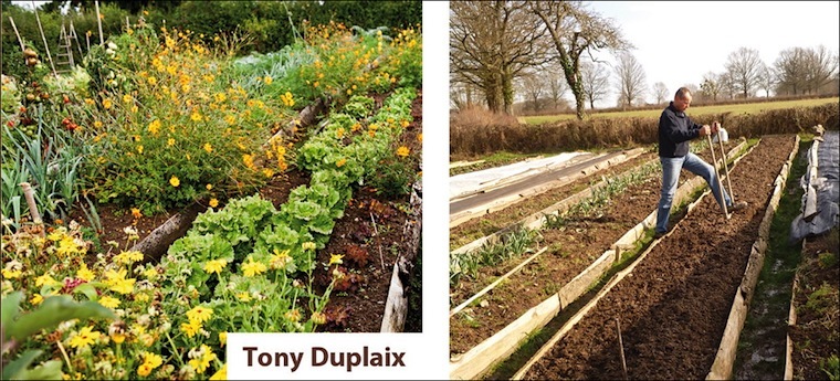 Le Potager surélevé de Tony Duplaix Nice RendezVous rayon Livres