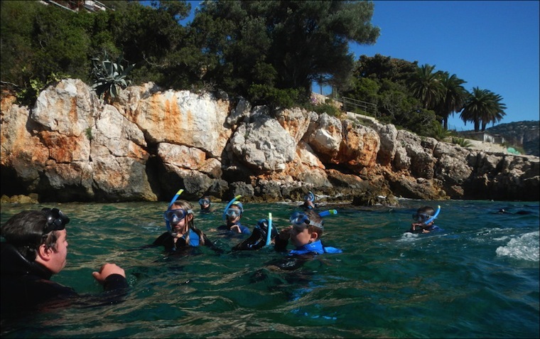 Nice Sorties en randonnée palmée dans la rade de Villefranche-sur-Mer avec le CDMM