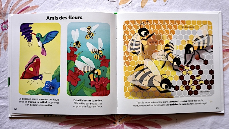 Les Petites Bêtes chez Larousse Jeunesse Nice RendezVous rayon Livres pour Enfants