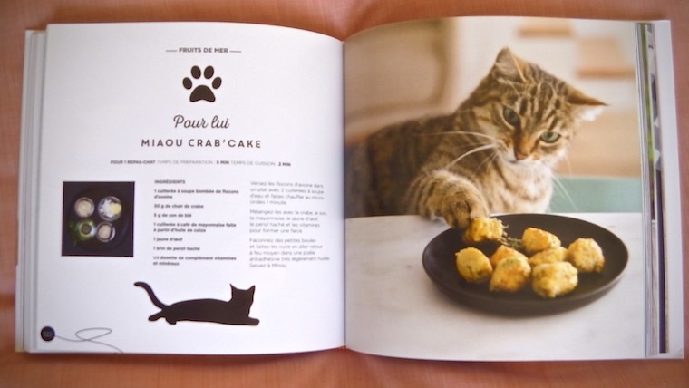 Recettes pour chat