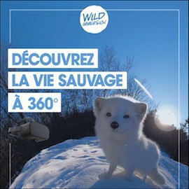 S2021 38 wild