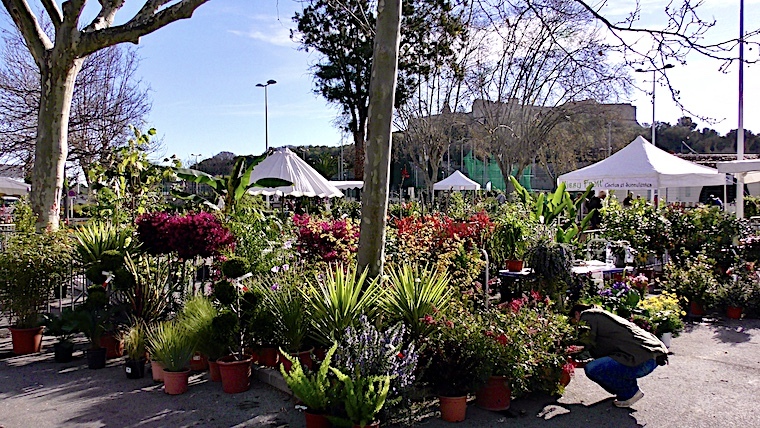 Fête des Jardins 2024 aux Espaces du Fort Carré à Antibes