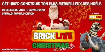 S51 bricklive mc