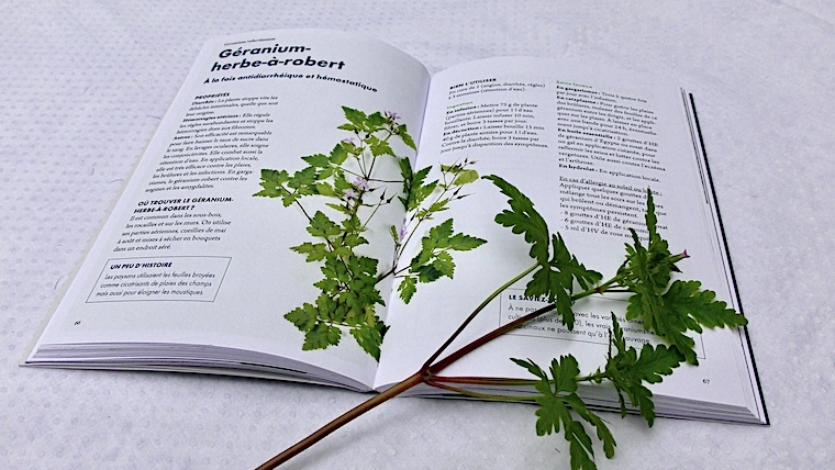 Se Soigner par les Plantes du Docteur Jacques Labescat Nice RendezVous rayon Livres Santé