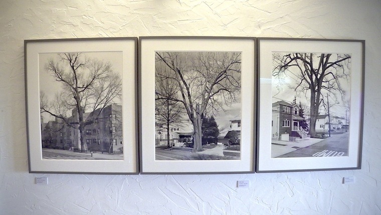 Mougins Exposition New York Arbor de Mitch Epstein au Musée de la Photographie André Villers arbor epstein lg1