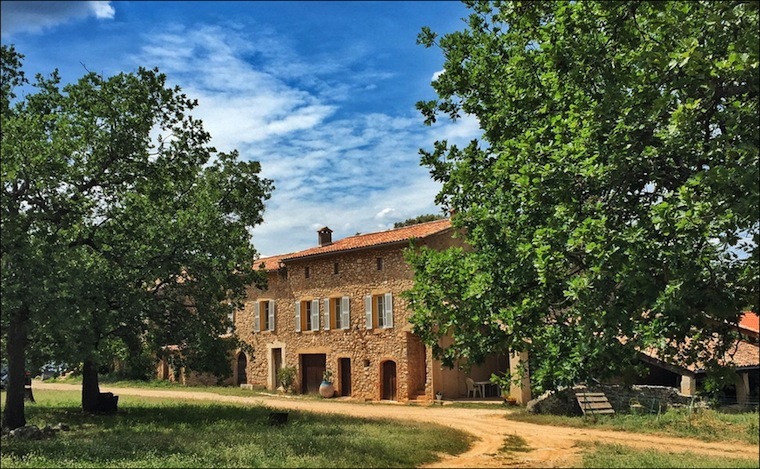 Premières cuvées Bio à La Bastide de Blacailloux à Tourves, Var