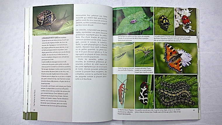 Accueillir la Faune Sauvage au Jardin Nice RendezVous rayon Livres