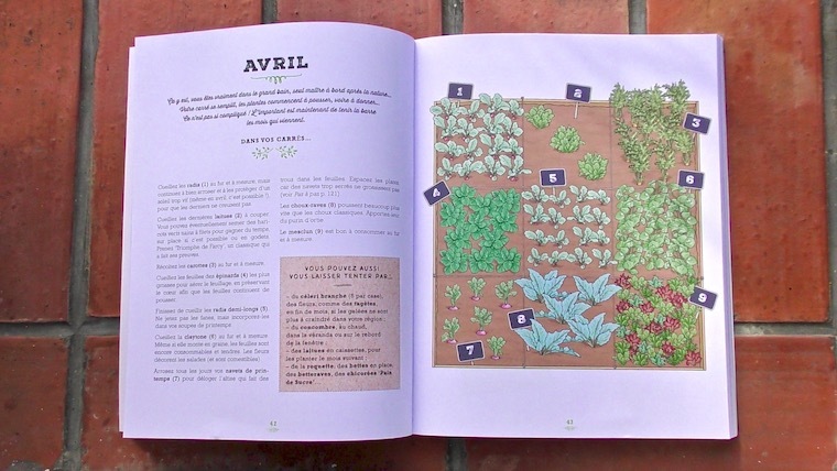 Mon Carré Potager au Fil des Mois de Catherine Delvaux Nice RendezVous rayon Livres