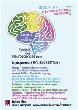 cerveau neurosciences sq