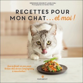 chat et moi recettes sq