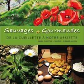 cueillette plantes sauvages sq