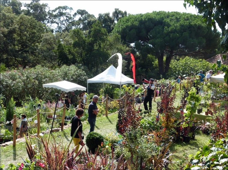 Gondwana 2020, la Fête des Plantes méditerranéennes au Domaine du Rayol, Var