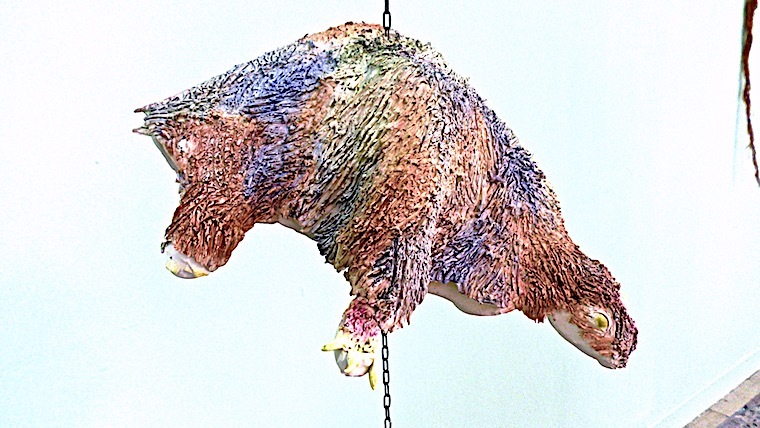 CELLI 3