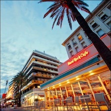 S2021 31 hard rock