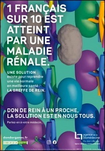 S2021 41 don rein