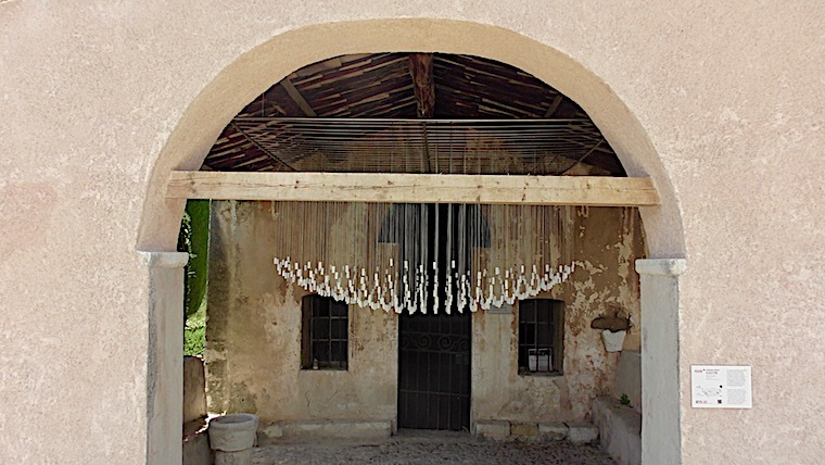 biennale 5