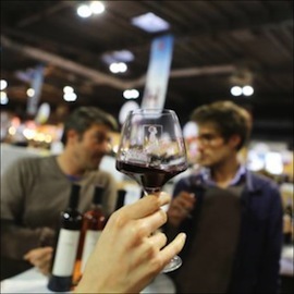S13 19 vignerons