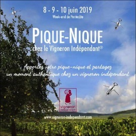 S20 19 vignerons