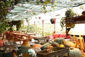 S2021 25 potager saquier