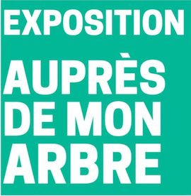 S23 6 expo arbre