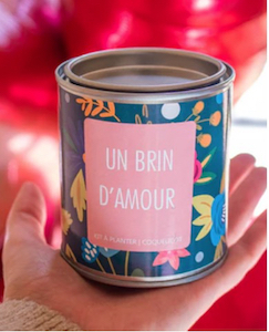 STV mieux fleurs