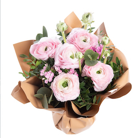 STV23 botanic