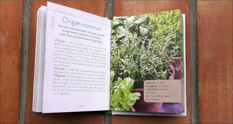 aromatiques lg1