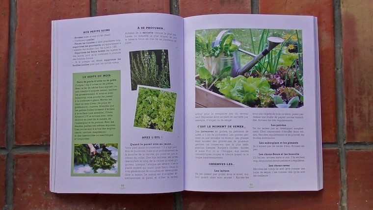 carre potager 3