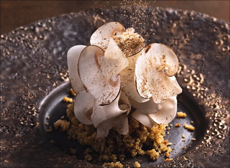chef gallienne nature lg2
