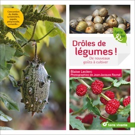 droles légumes sq