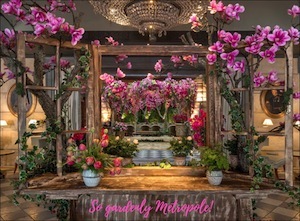 hotel metropole sq