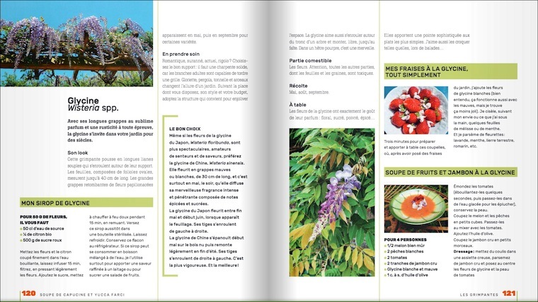 jardin gourmand top