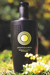 mimoncello sq