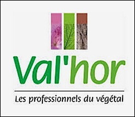 S2 21 valhor