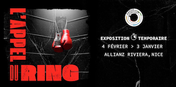 S22 6 expo boxe
