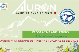 S31 20 auron