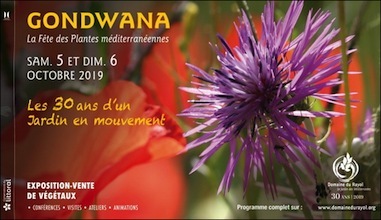 S39 gonwana