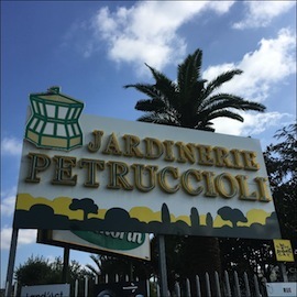 S40 petruccioli