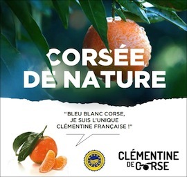 S42 20 clementines corse
