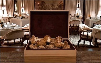 S43 robuchon