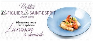 S45 20 figuier