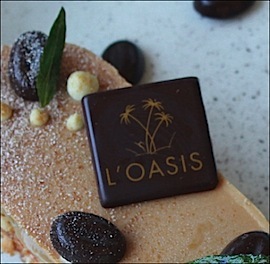 S46 20 oasis