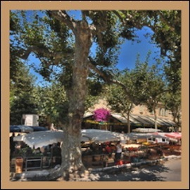 automne stpaul sq