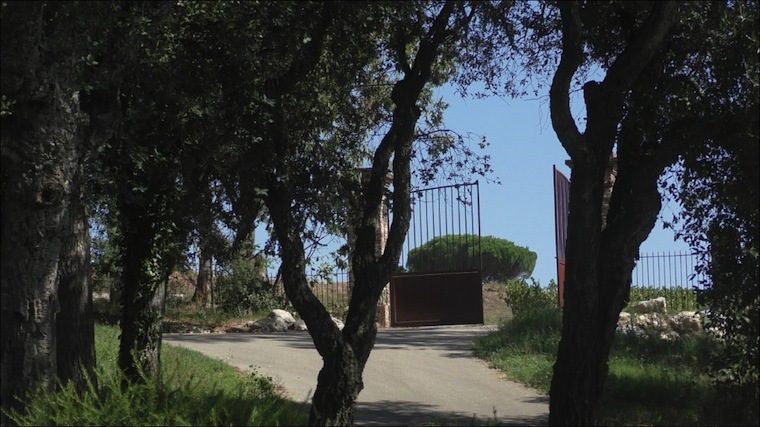 barbossi lg3