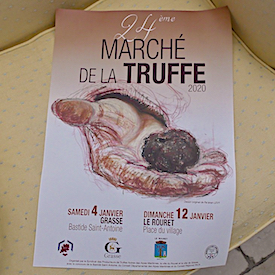 chibois truffe sq