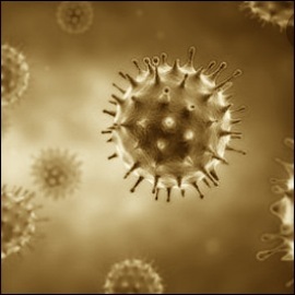coronavirus sq