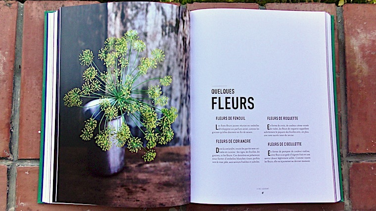 le vegetal 1