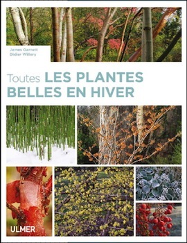 plantes hiver sq