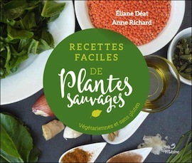 plantes sauvages sq
